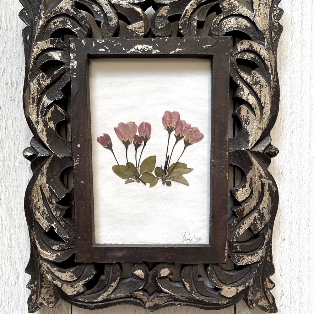 Dried Baby Pink Roses Framed With Ornate Wood